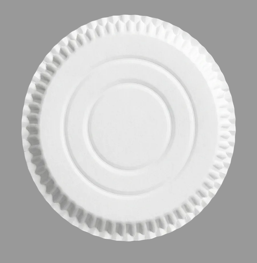 OneTime_Paper_Plate_20inchi_Back_Side