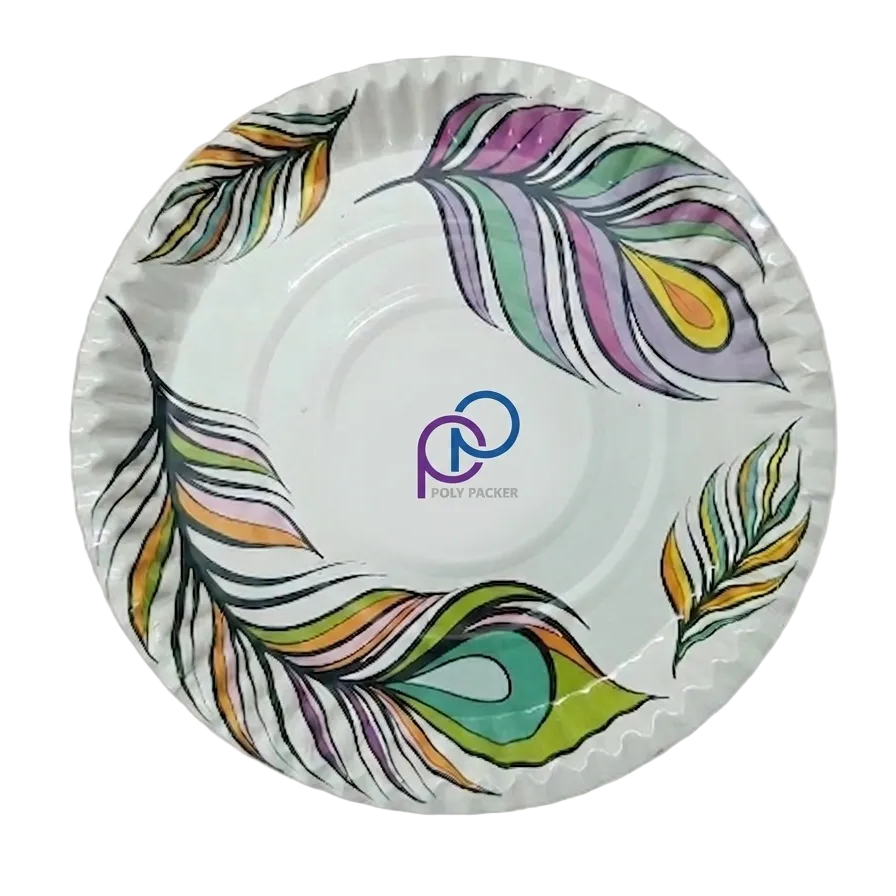 One Time Paper Plate_20inchi 300gsm