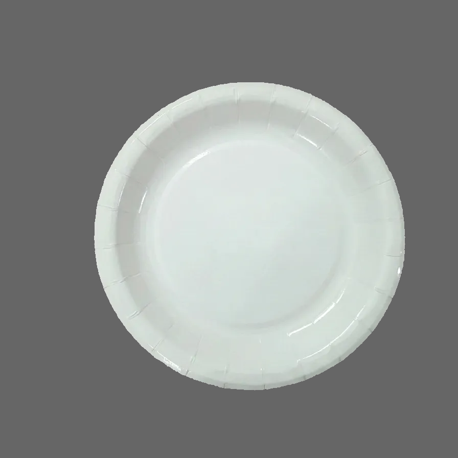 One_Time_Paper_Plate_7_inchi_300_gsm white 