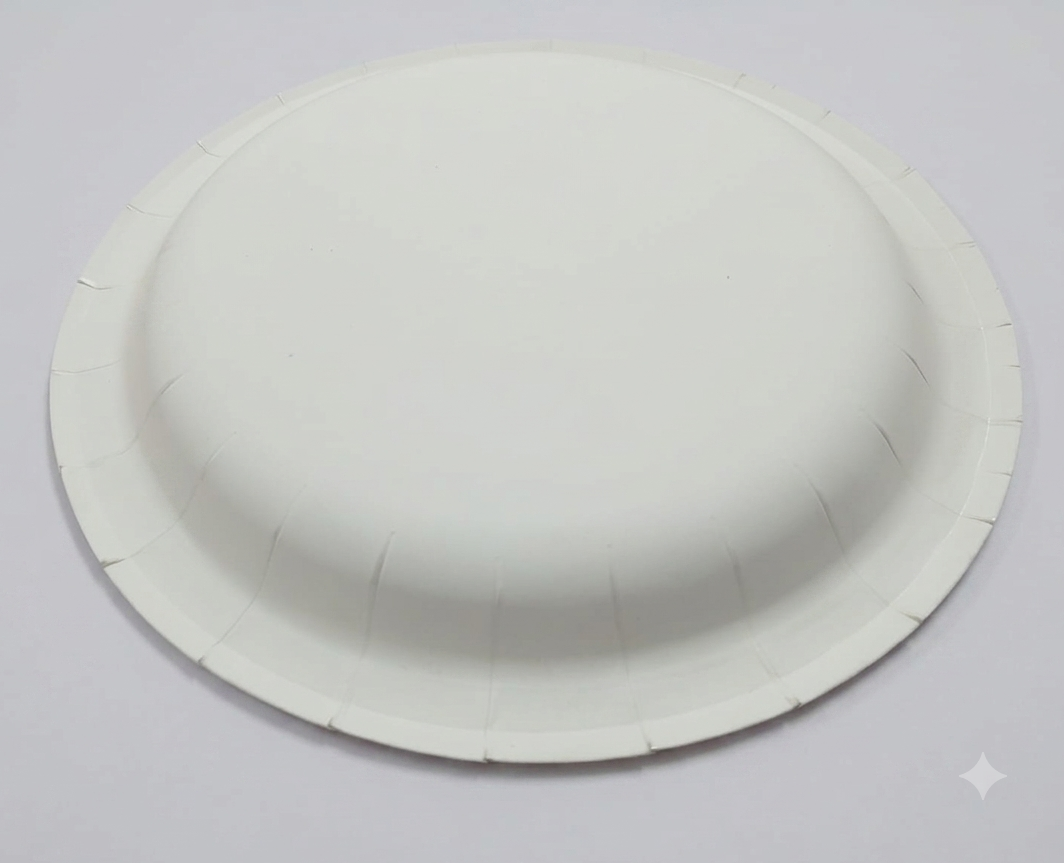 One Time Paper Plate 7 inchi 300 gsm