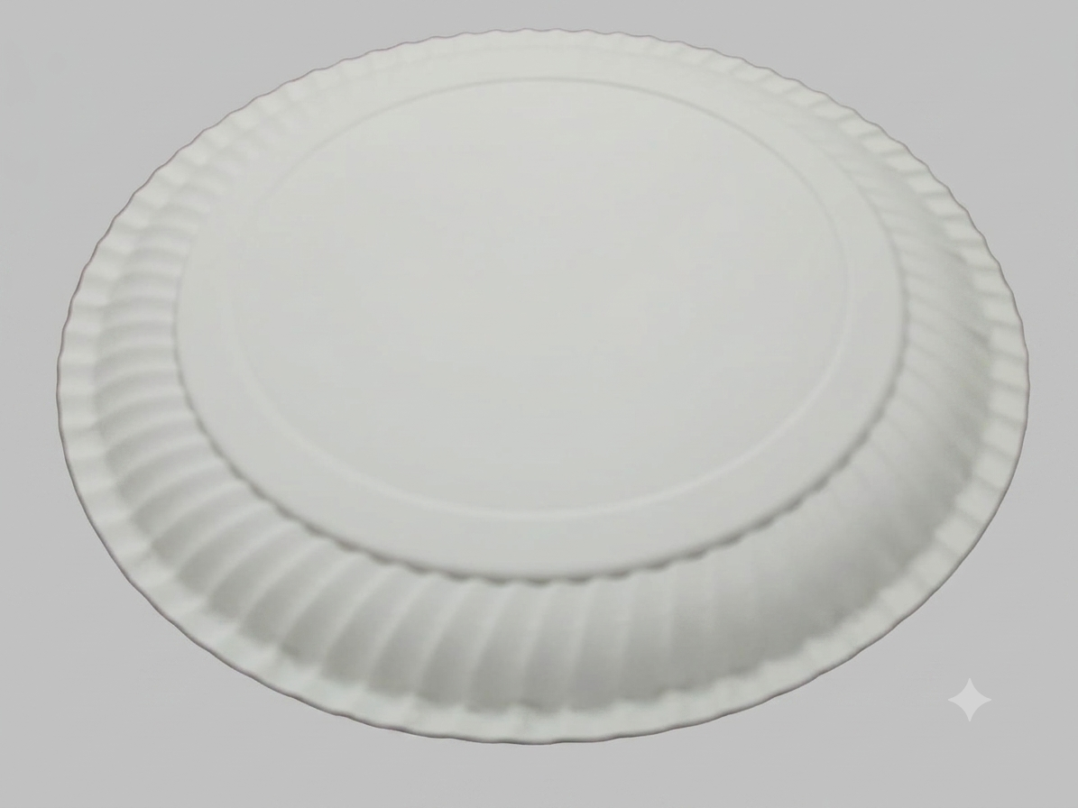One_Time_Paper_Plate 9_inch_210_gsm
