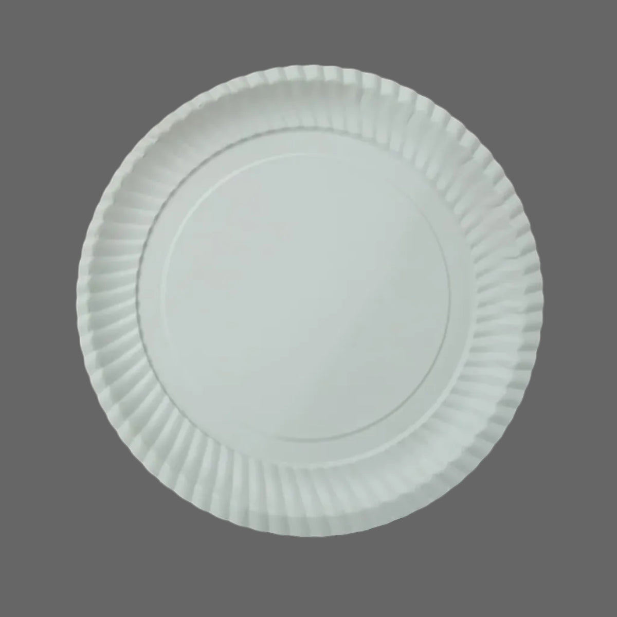 One_Time_Paper_Plate 9_inch_210_gsm