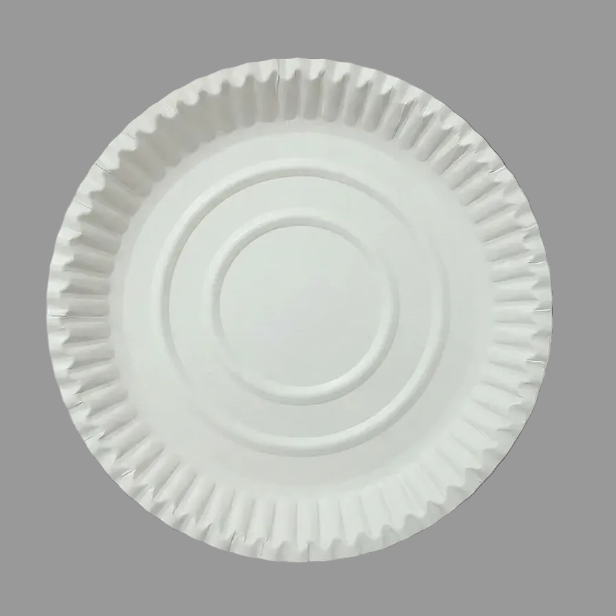 One time plate White 12 Inch 